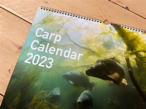 karpfen kalender 2024|Karpfe Diem – Karpfenkalender 2024